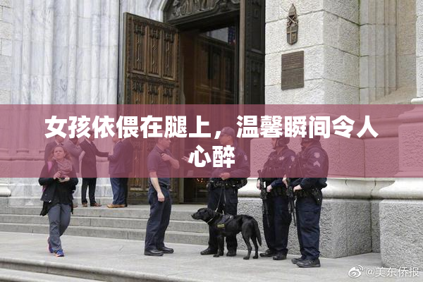 女孩依偎在腿上，温馨瞬间令人心醉