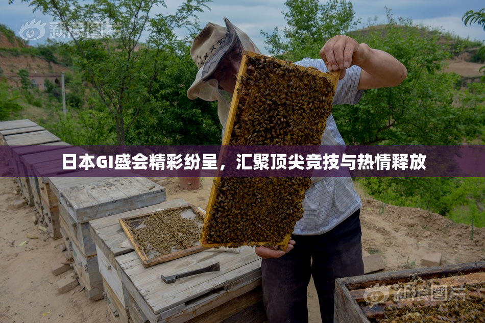 日本GI盛会精彩纷呈，汇聚顶尖竞技与热情释放