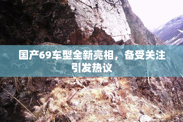 国产69车型全新亮相，备受关注引发热议