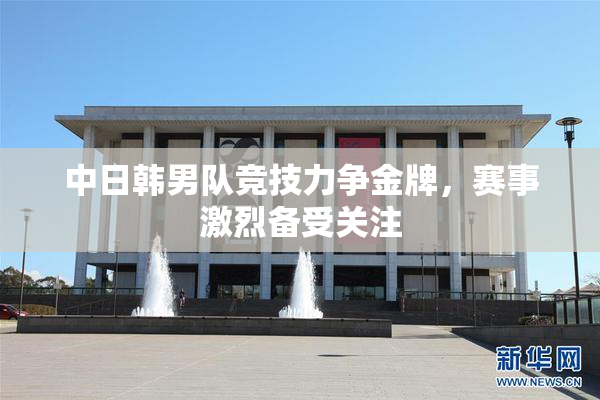 中日韩男队竞技力争金牌，赛事激烈备受关注