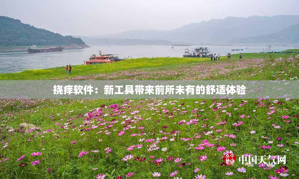 挠痒软件：新工具带来前所未有的舒适体验