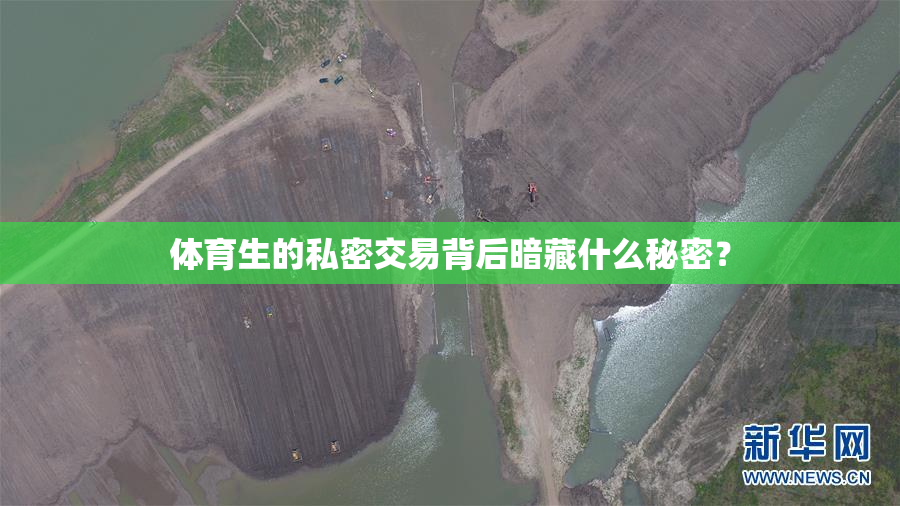 体育生的私密交易背后暗藏什么秘密？