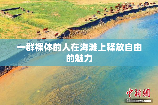 一群裸体的人在海滩上释放自由的魅力