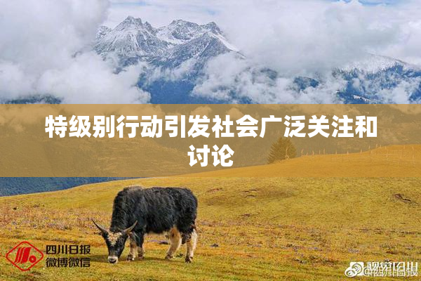 特级别行动引发社会广泛关注和讨论