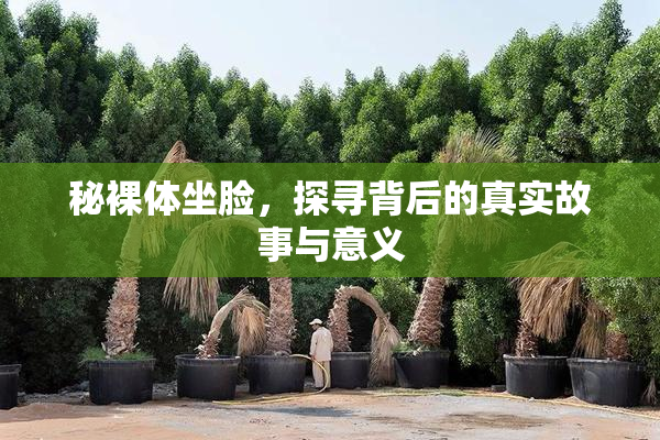 秘裸体坐脸，探寻背后的真实故事与意义