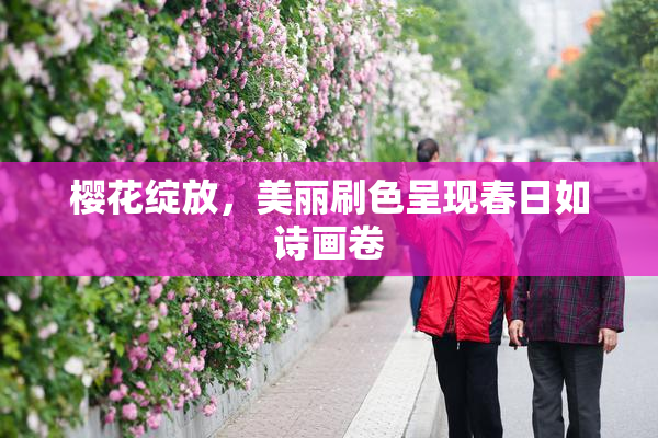 樱花绽放，美丽刷色呈现春日如诗画卷