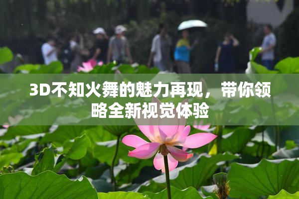 3D不知火舞的魅力再现，带你领略全新视觉体验