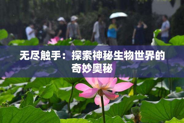 无尽触手：探索神秘生物世界的奇妙奥秘