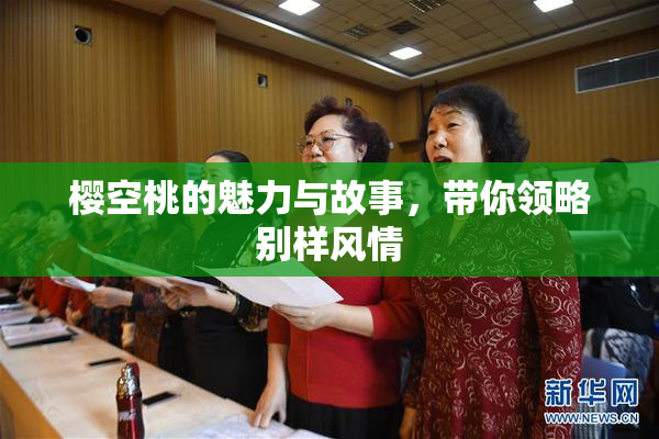 樱空桃的魅力与故事，带你领略别样风情