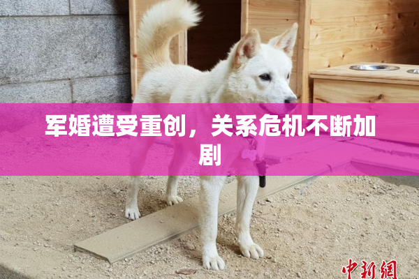 军婚遭受重创，关系危机不断加剧