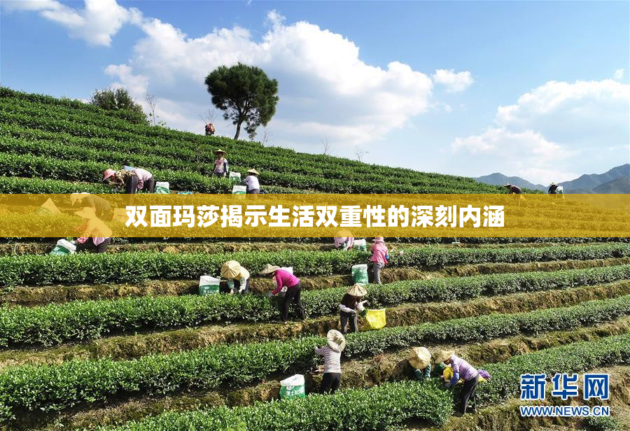 双面玛莎揭示生活双重性的深刻内涵