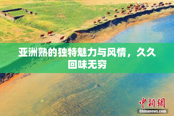 亚洲熟的独特魅力与风情，久久回味无穷