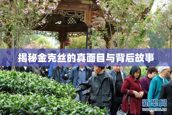 揭秘金克丝的真面目与背后故事