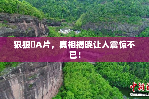 狠狠穞A片，真相揭晓让人震惊不已！