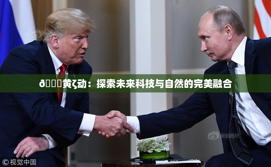 🔞黄ζ动：探索未来科技与自然的完美融合