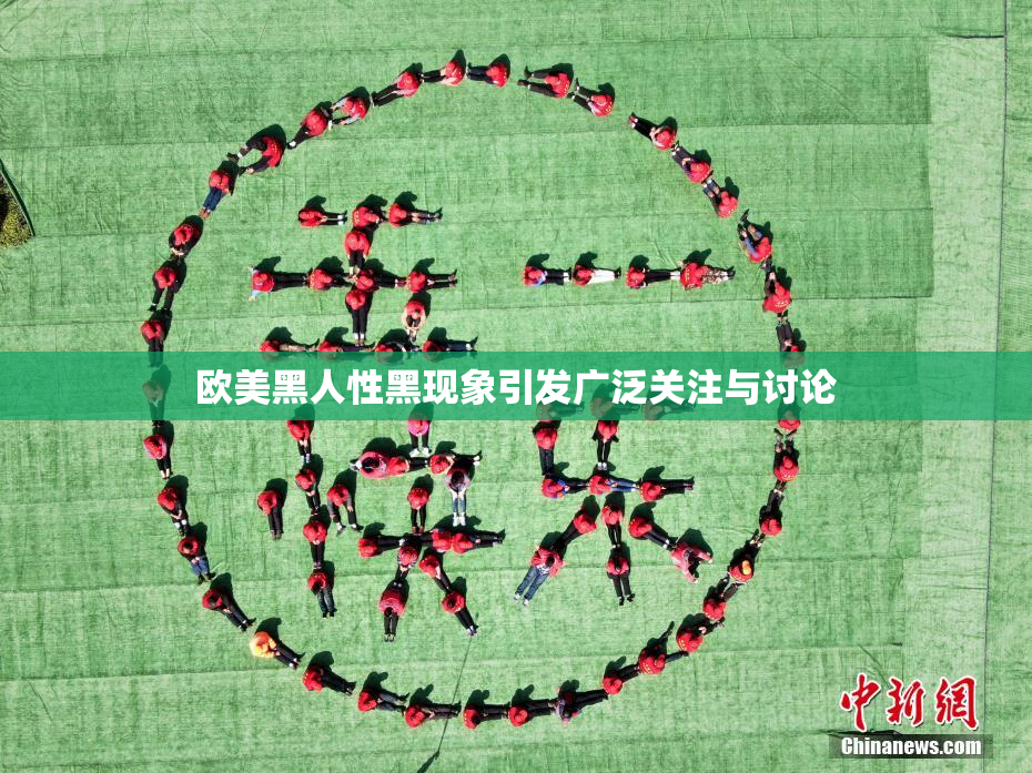 欧美黑人性黑现象引发广泛关注与讨论