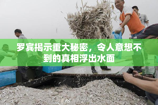 罗宾揭示重大秘密，令人意想不到的真相浮出水面