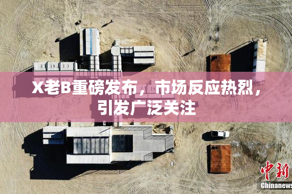 X老B重磅发布，市场反应热烈，引发广泛关注