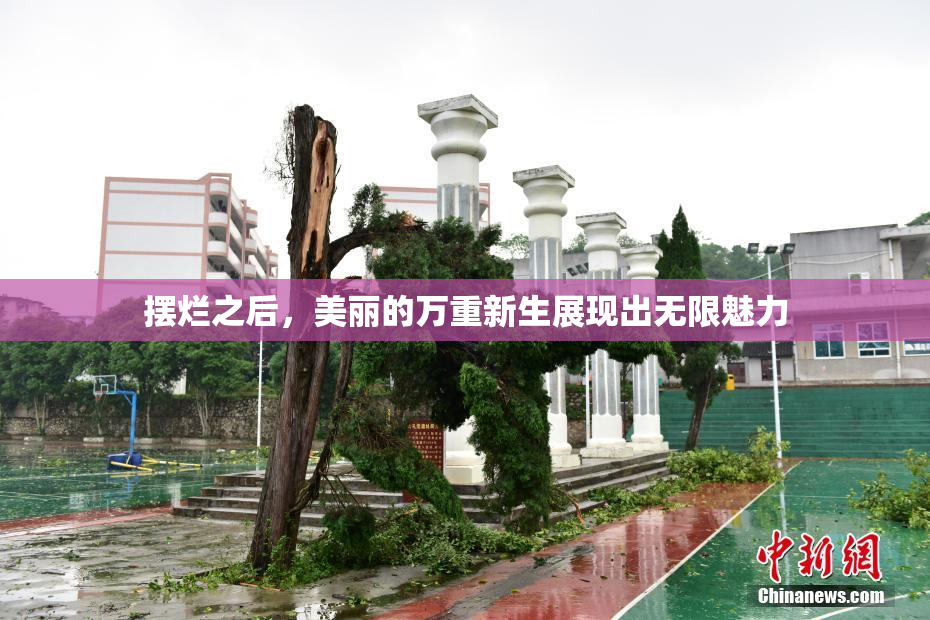 摆烂之后，美丽的万重新生展现出无限魅力