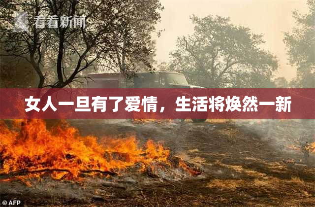 女人一旦有了爱情，生活将焕然一新