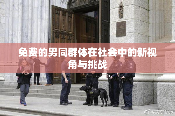 免费的男同群体在社会中的新视角与挑战