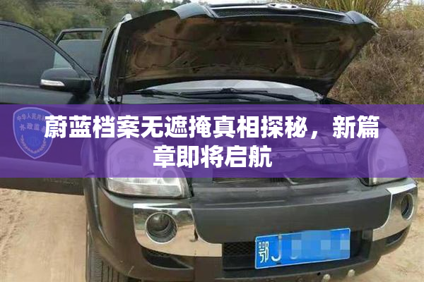 蔚蓝档案无遮掩真相探秘，新篇章即将启航
