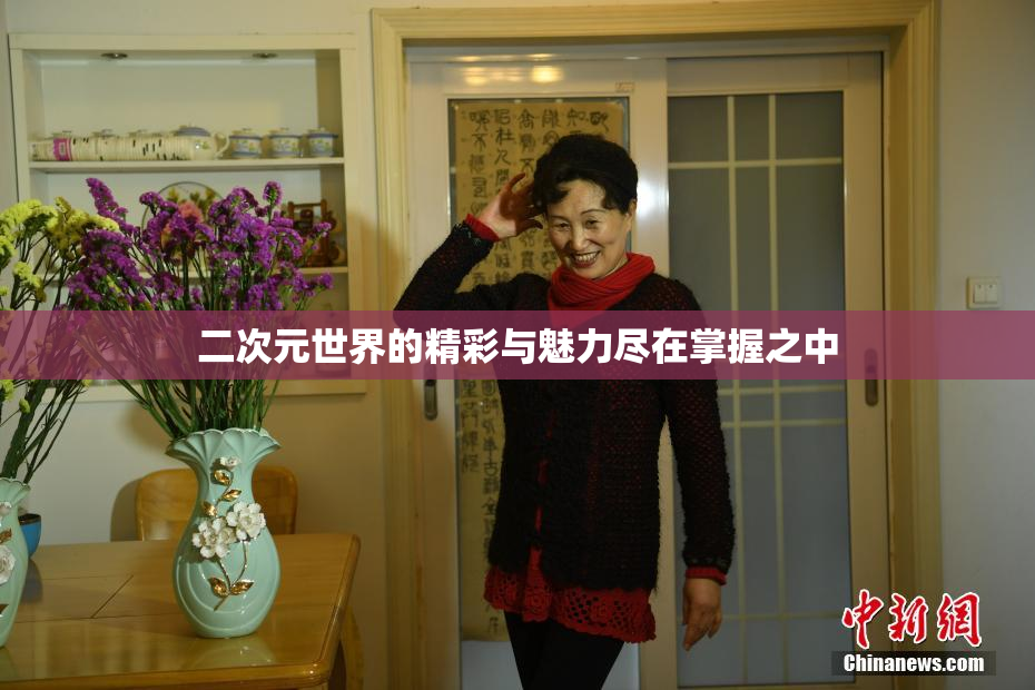 二次元世界的精彩与魅力尽在掌握之中