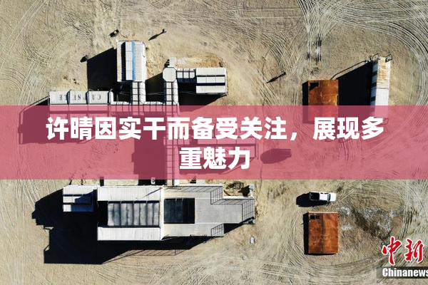许晴因实干而备受关注，展现多重魅力