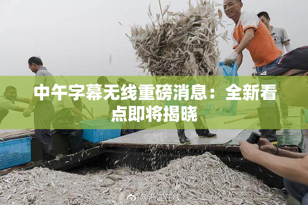 中午字幕无线重磅消息：全新看点即将揭晓