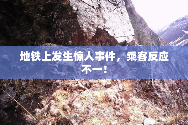 地铁上发生惊人事件，乘客反应不一！