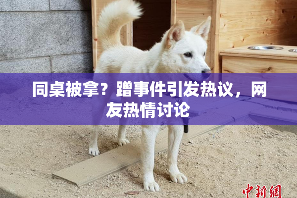 同桌被拿？蹭事件引发热议，网友热情讨论