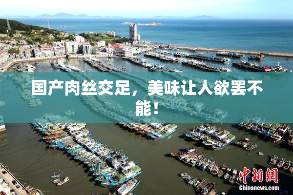 国产肉丝交足，美味让人欲罢不能！