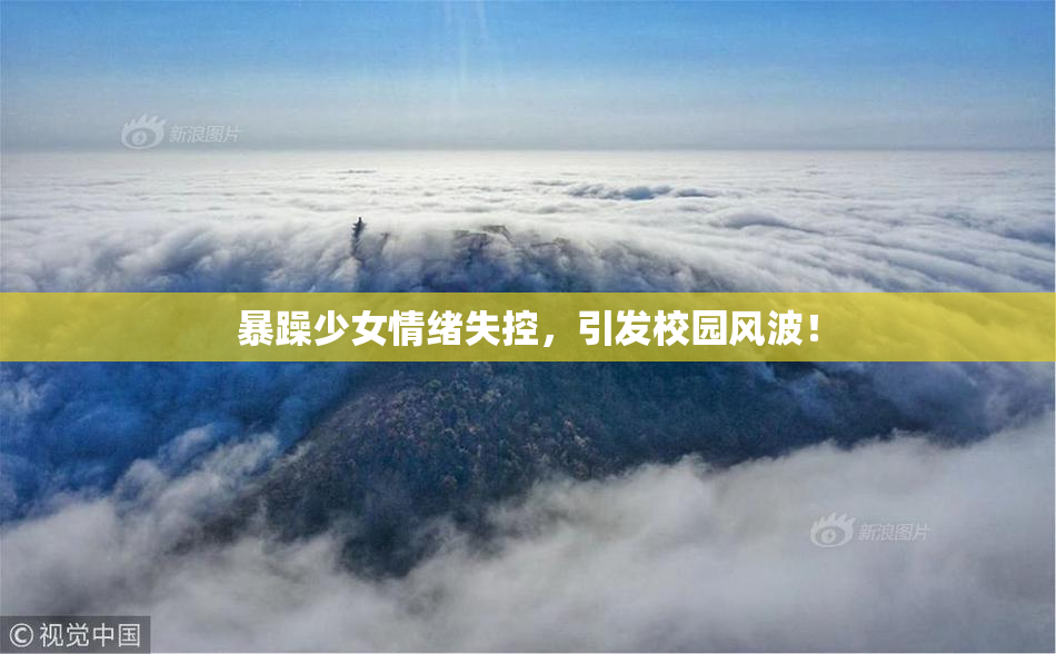 暴躁少女情绪失控，引发校园风波！