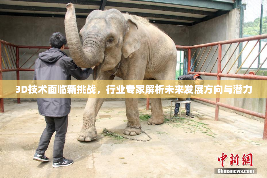 3D技术面临新挑战，行业专家解析未来发展方向与潜力
