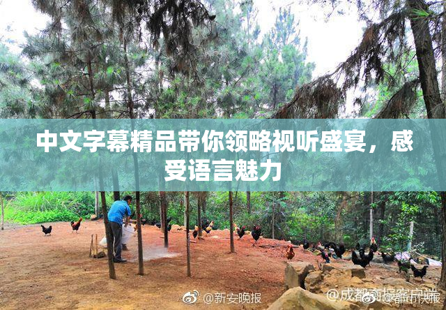 中文字幕精品带你领略视听盛宴，感受语言魅力