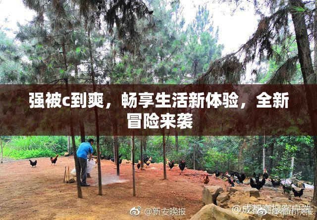 强被c到爽，畅享生活新体验，全新冒险来袭