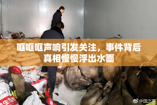 哐哐哐声响引发关注，事件背后真相慢慢浮出水面