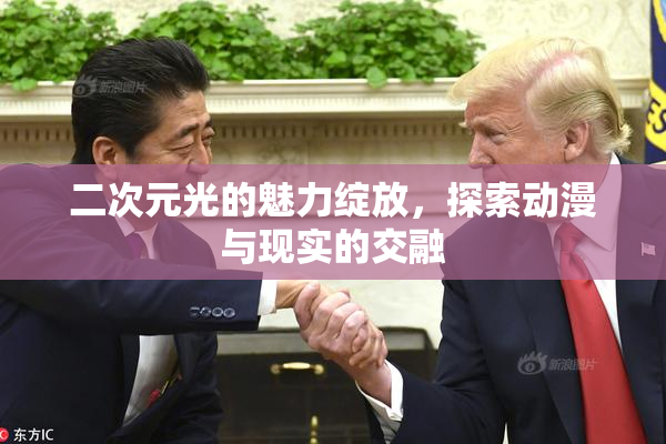 二次元光的魅力绽放，探索动漫与现实的交融
