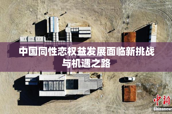 中国同性恋权益发展面临新挑战与机遇之路
