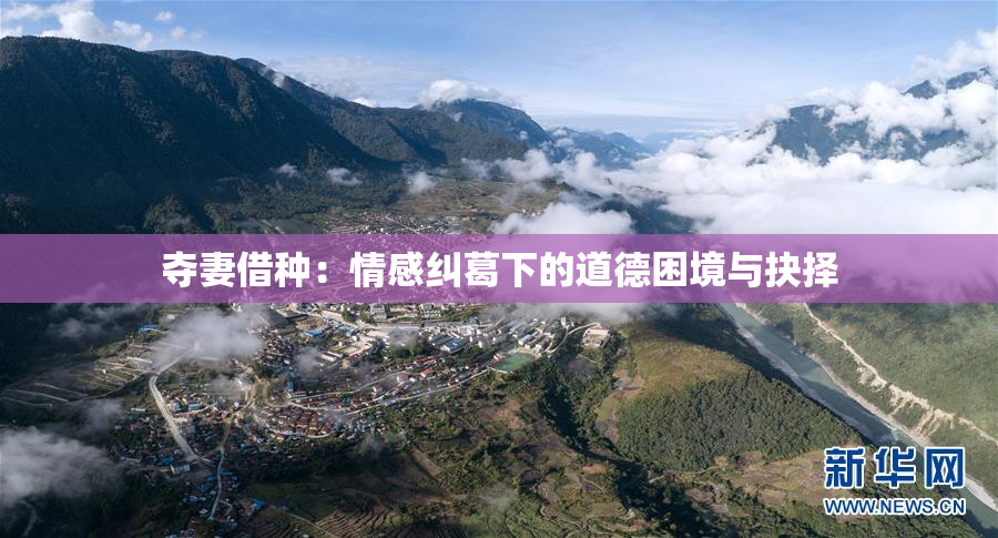 夺妻借种：情感纠葛下的道德困境与抉择