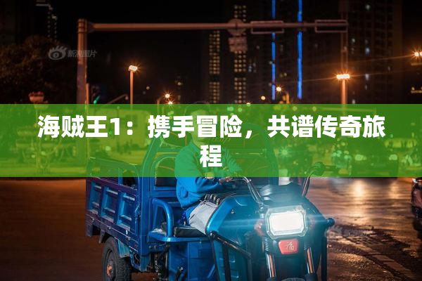 海贼王1：携手冒险，共谱传奇旅程