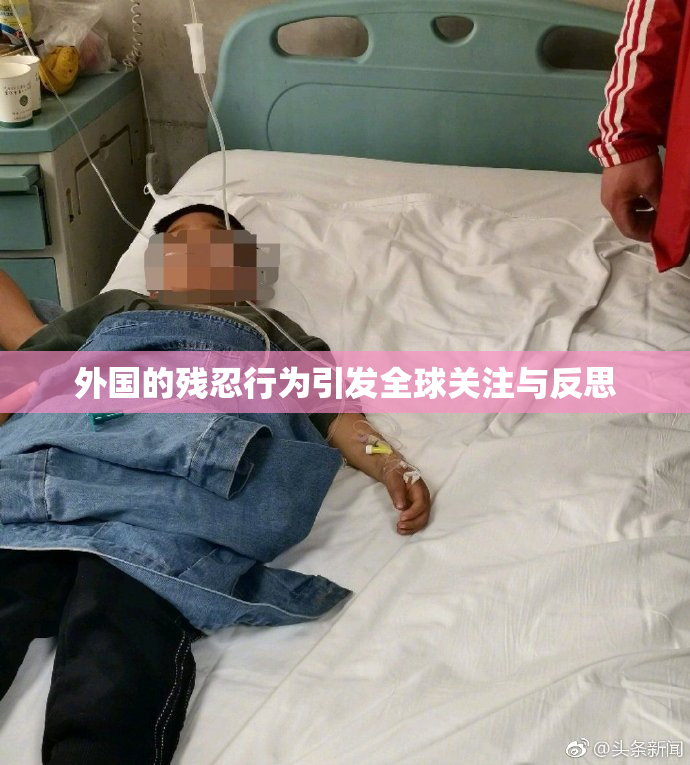 外国的残忍行为引发全球关注与反思