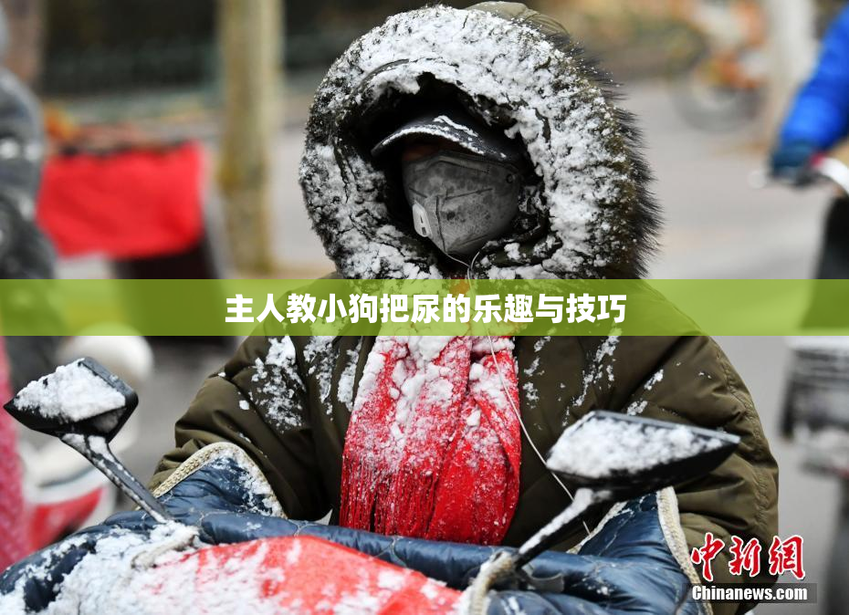 主人教小狗把尿的乐趣与技巧