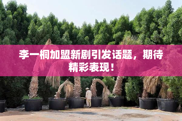 李一桐加盟新剧引发话题，期待精彩表现！