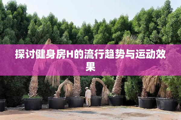 探讨健身房H的流行趋势与运动效果