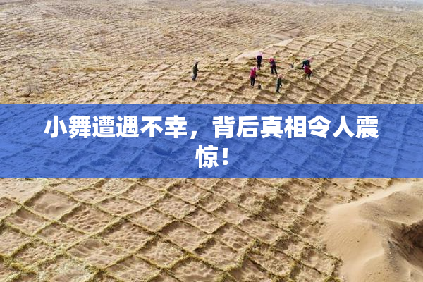 小舞遭遇不幸，背后真相令人震惊！