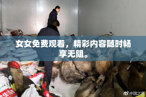 女女免费观看，精彩内容随时畅享无阻。