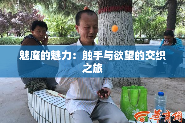 魅魔的魅力：触手与欲望的交织之旅