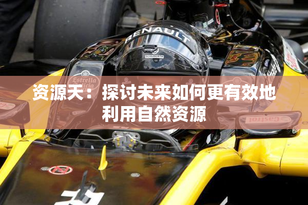 资源天：探讨未来如何更有效地利用自然资源