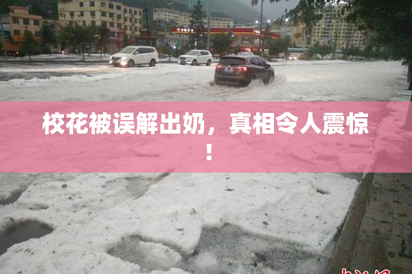 校花被误解出奶，真相令人震惊！